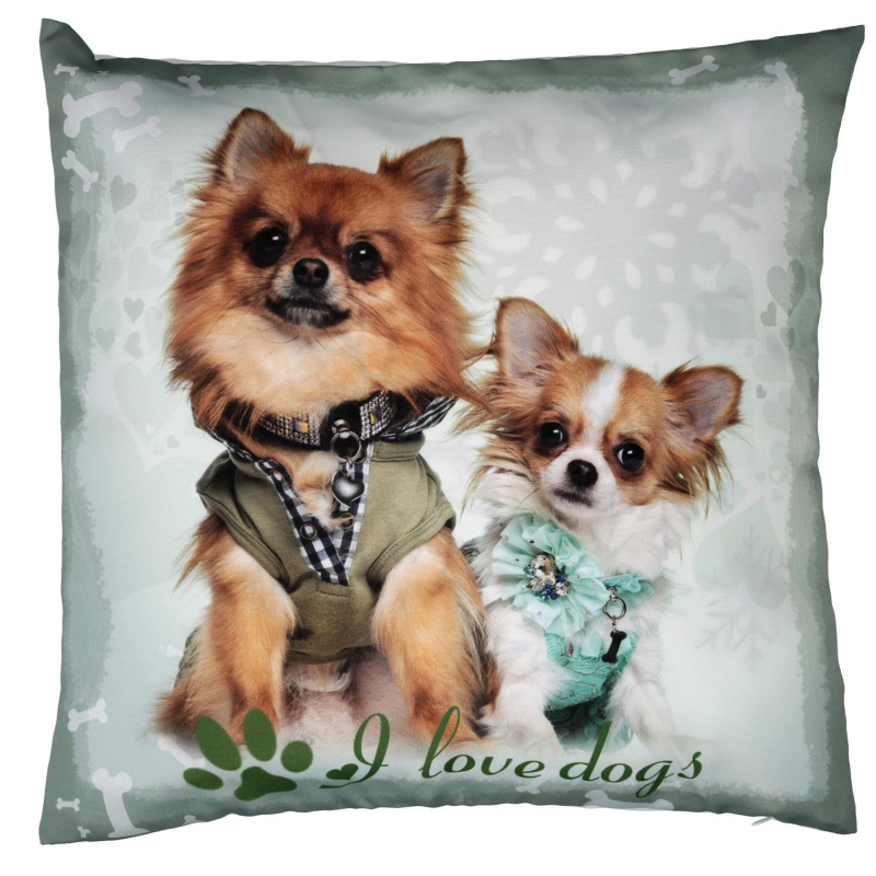 foto del prodotto cuscino tessuto con cane azzurro cm43x43