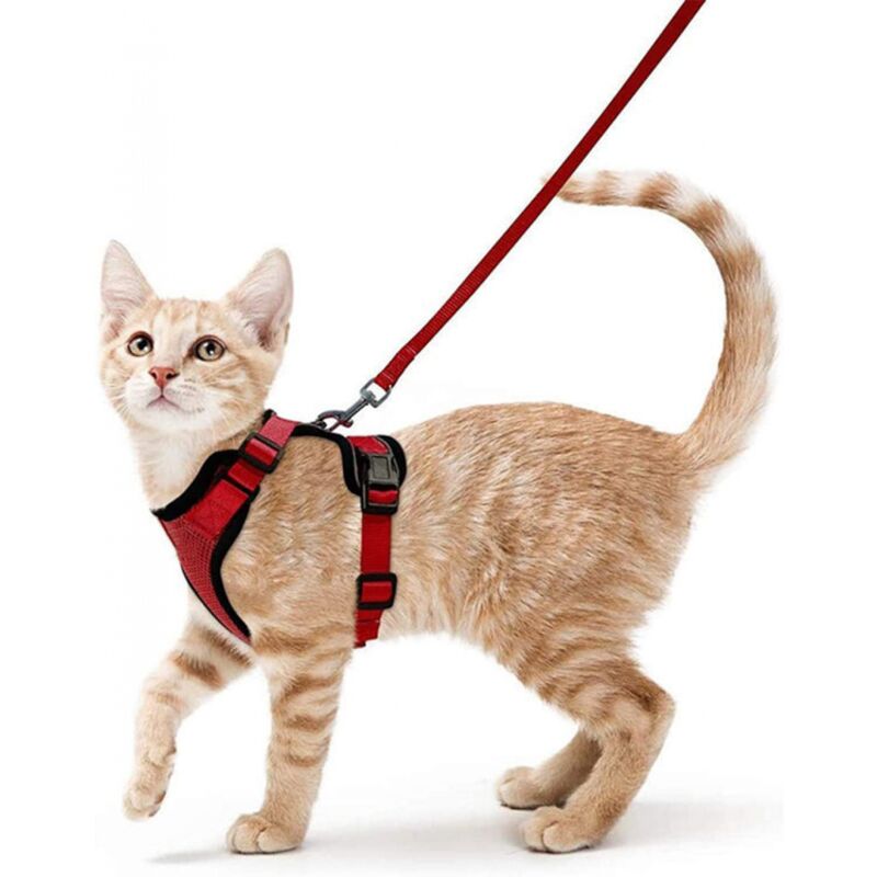 foto del prodotto cyslmuk 1 pz xs rosso guinzaglio per imbracatura per gatti per cani di piccola taglia regolabile gattino rosso collare riflettente gilet
