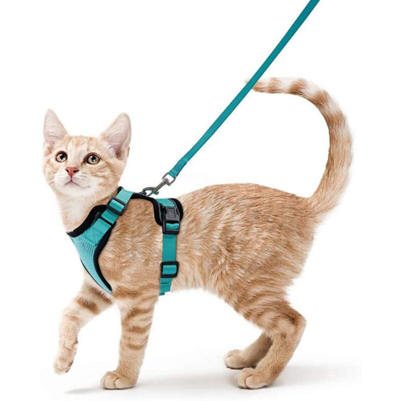 foto del prodotto cyslmuk 1 pz xs verde guinzaglio per gatti per cani di piccola taglia guinzaglio regolabile per gattini verde
