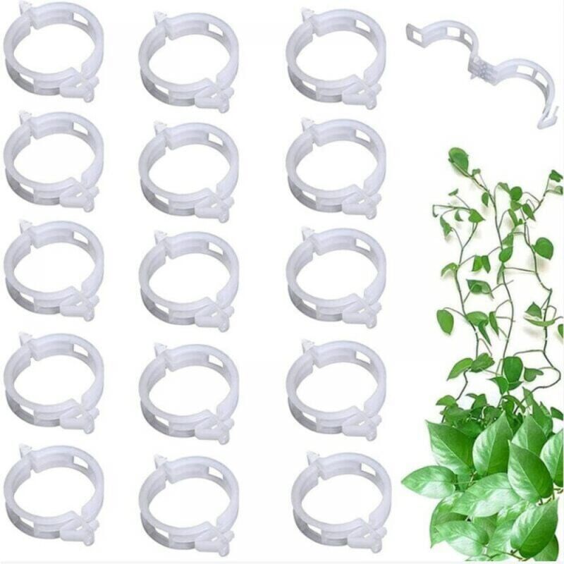foto del prodotto cyslmuk 100 pezzi clip di supporto per piante rampicanti clip di fissaggio per piante per verdure pomodori viti bianco ymyny