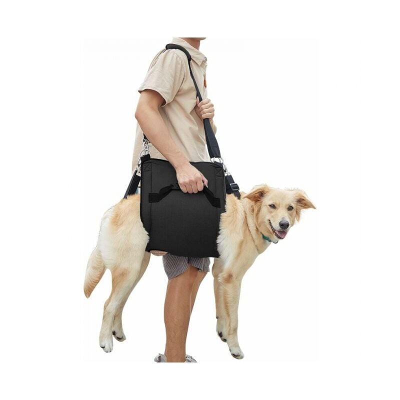 foto del prodotto cyslmuk l, nero imbracatura per cani, supporto per zampe di emergenza per animali domestici e zaino di recupero