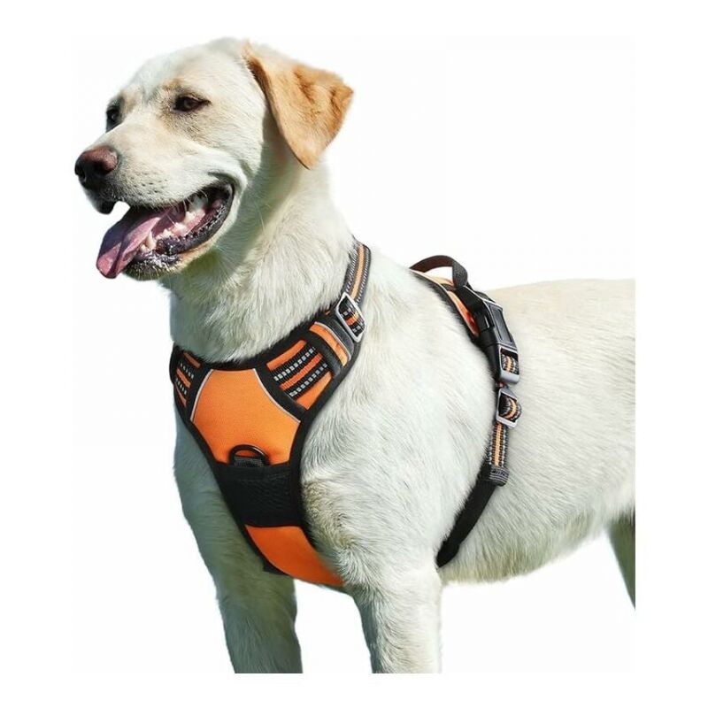 foto del prodotto cyslmuk pettorina arancione per cani, regolabile, riflettente, anti distrazione, facile da indossare, con maniglia di controllo, traspirante,