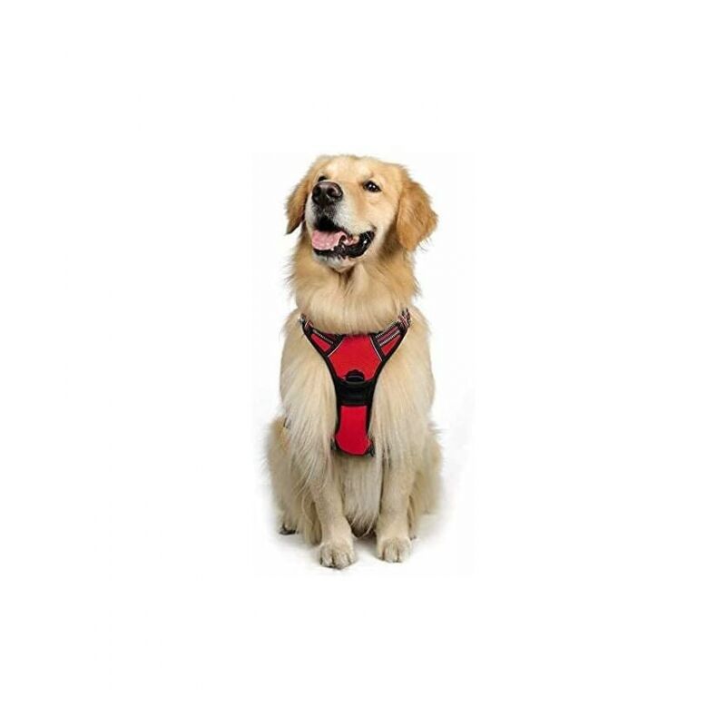 foto del prodotto cyslmuk pettorina per cani xl, rossa, riflettente, regolabile, anti tiro, per cani di grossa taglia, con gancio anteriore per guinzaglio, per