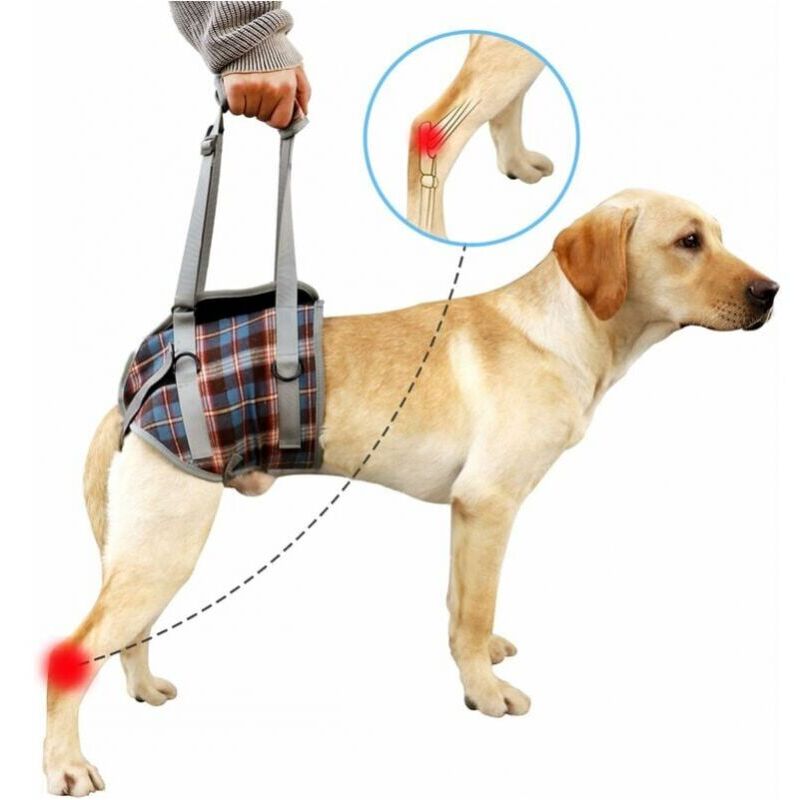 foto del prodotto cyslmuk s imbracatura di supporto per cani, cinghia di recupero regolabile per zampe posteriori di animali domestici, aiuto per la riabilitazione