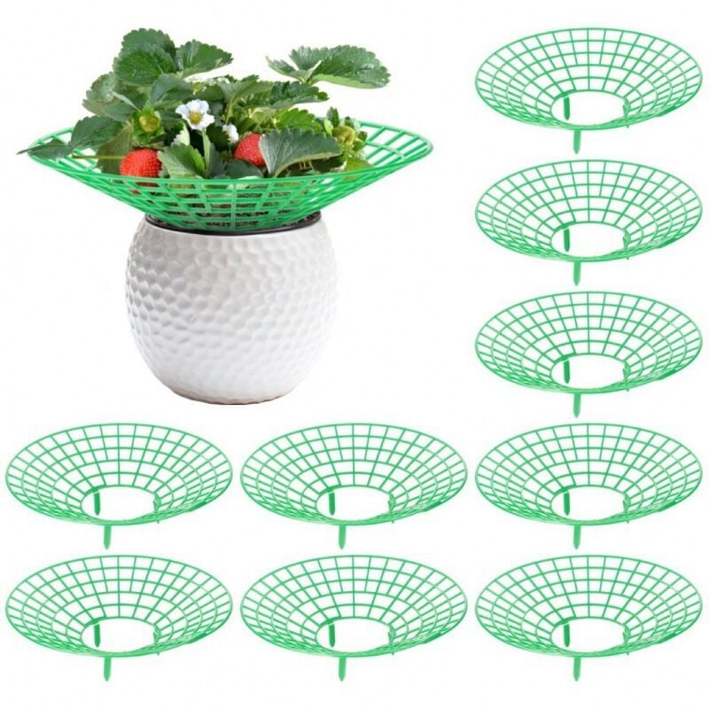 foto del prodotto cyslmuk supporti per piante da 10 pezzi, supporti per fragole per giardinaggio, telaio per la coltivazione di fragole, previene il marciume