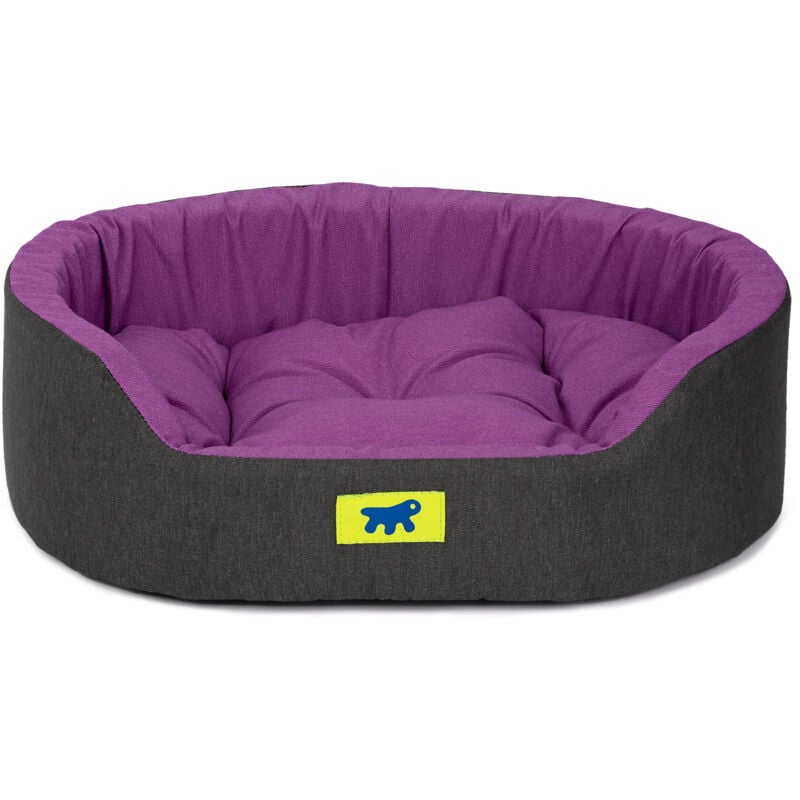 foto del prodotto dandy colours cuccia cane e gatto da interno, in cotone con cuscino removibile dandy. variante 45 misure 45 x 35 x h 13 cm viola ferplast