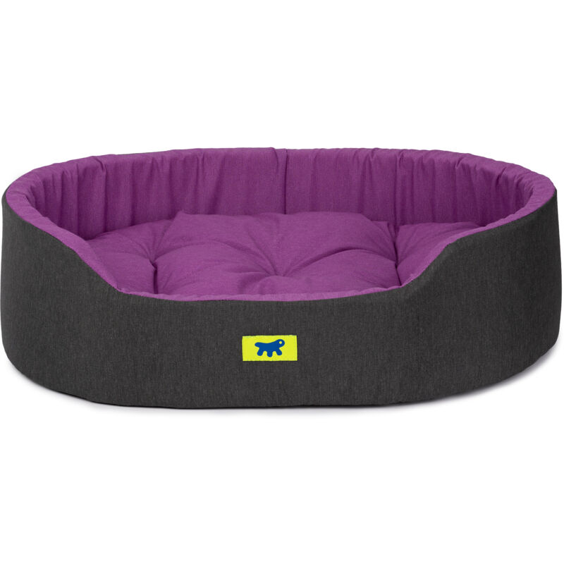 foto del prodotto dandy colours cuccia cane e gatto da interno, in cotone con cuscino removibile dandy. variante 65 misure 65 x 46 x h 17 cm viola ferplast