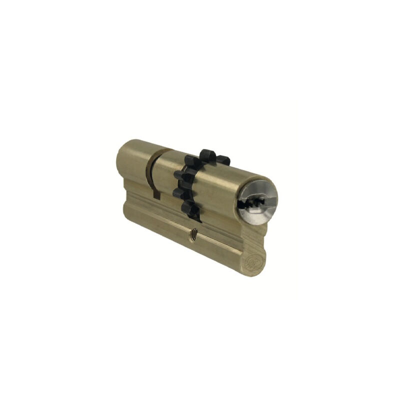 foto del prodotto decayeux cilindro europeo di alta sicurezza per porta dad 900 60 mm 723512