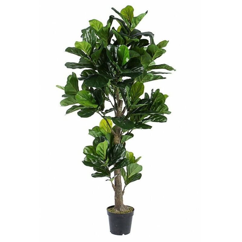 foto del prodotto decorazione casa pianta ficus lyrata con vaso