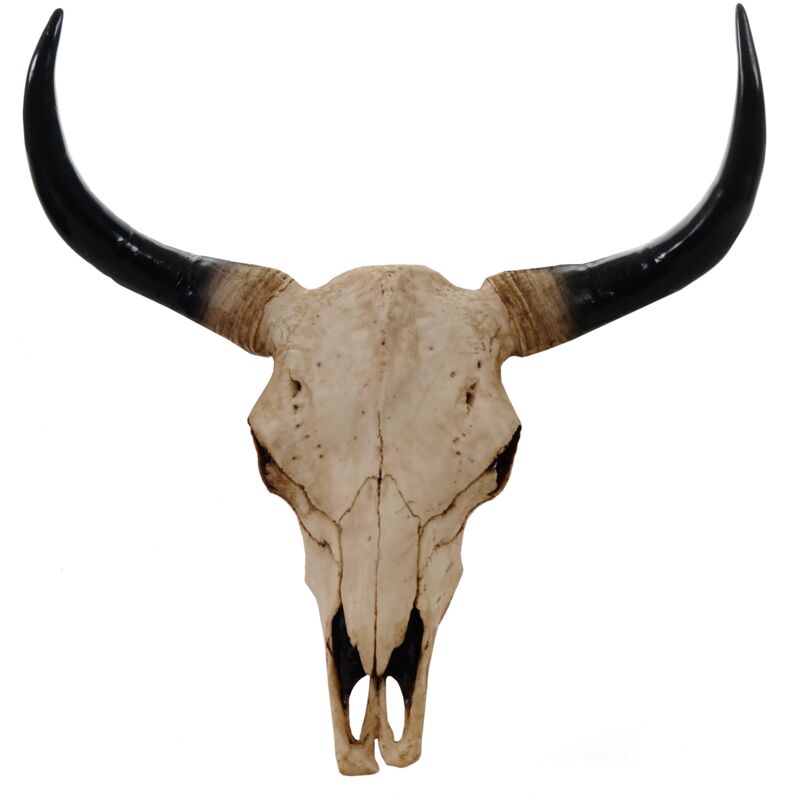 foto del prodotto decorazione da parete testa di toro trofeo corno lungo 45 cm in poliresina naturale per interni ed esterni 040002848