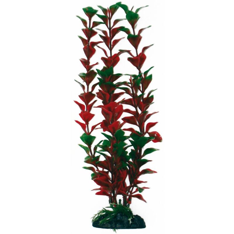 foto del prodotto decorazione piantina cabomba amtra in plastica per acquari altezza 23 cm