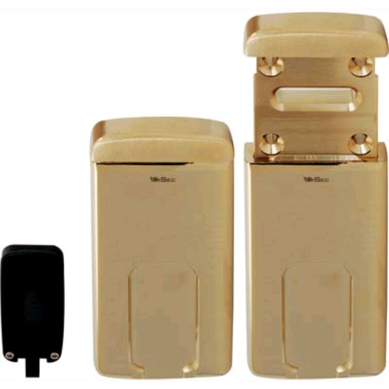 foto del prodotto defender magnetico mg220 disec dm mm 110x55 ottone lucido