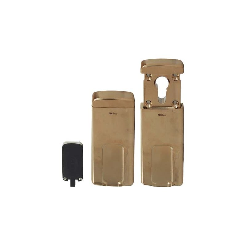 foto del prodotto defender magnetico mg310 disec f.sagom mm 110x55 ottone lucido 1 pezzo