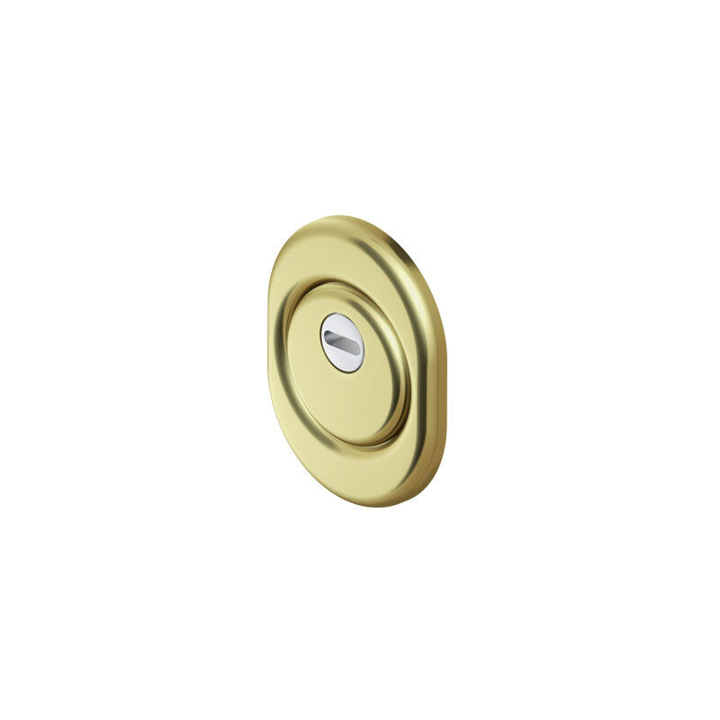 foto del prodotto defender monolito bd300 atra disec ottone lucido f.sag i.mm 31 d.mm 50 h.mm 20