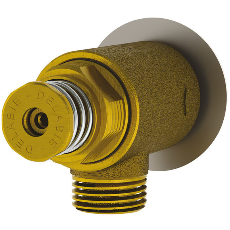 foto del prodotto delabie - tempostop 3l min rubinetto a parete per lavamano temporizzato