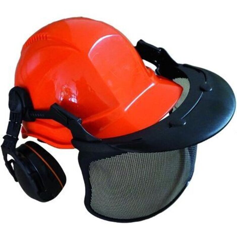 foto del prodotto delta plus - elmetto protezione blinky jac con cuffie e visiera arancione