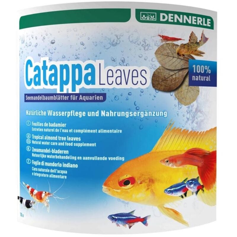 foto del prodotto dennerle 2744 catappa leaves foglie di mandorlo indiano essicate per 800 litri