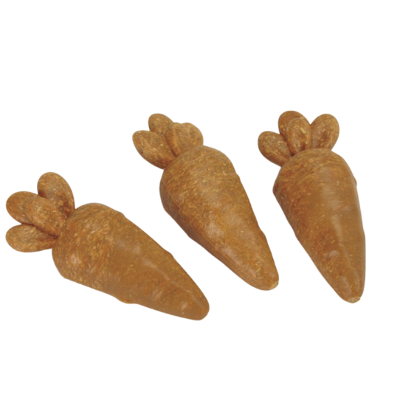 foto del prodotto dental vegetal carota snack per roditori camon 60 gr 1 ordine scegli lo sconto bzr5 bzr20 200 punti fedelt 