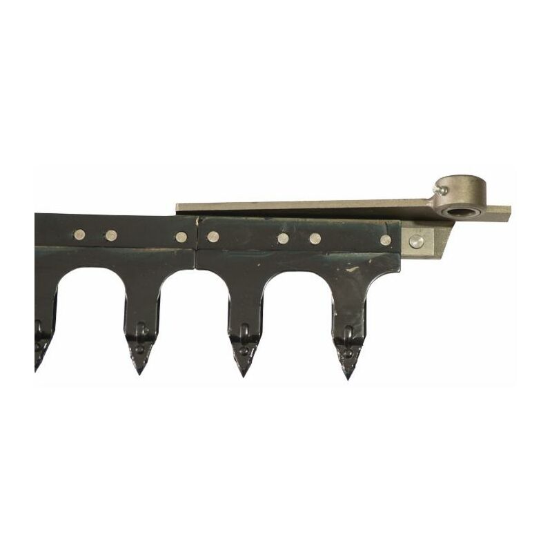 foto del prodotto dentiera 12 denti lunghezza 1,75 mt adattabile a gaspardo fb 925 21120053