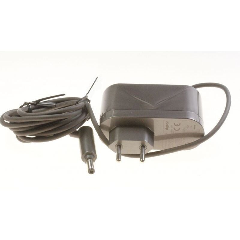 foto del prodotto detergente aspirapolvere dyson 967813 03