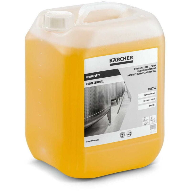 foto del prodotto detergente per la pulizia profonda, senza nta 10l rm 750 karcher