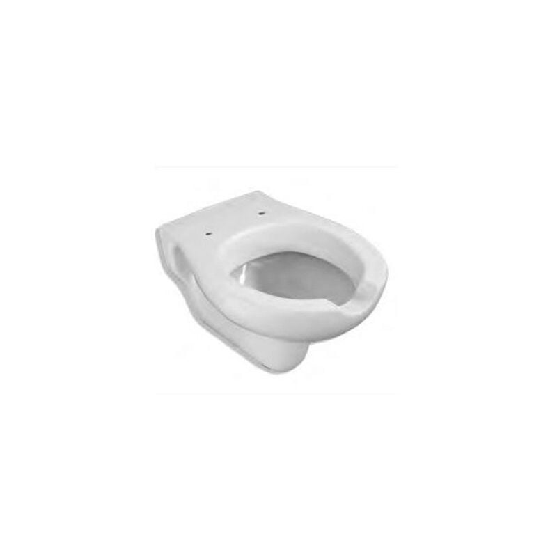 foto del prodotto dianhydro vaso sospeso per disabili con apertura frontale bianco
