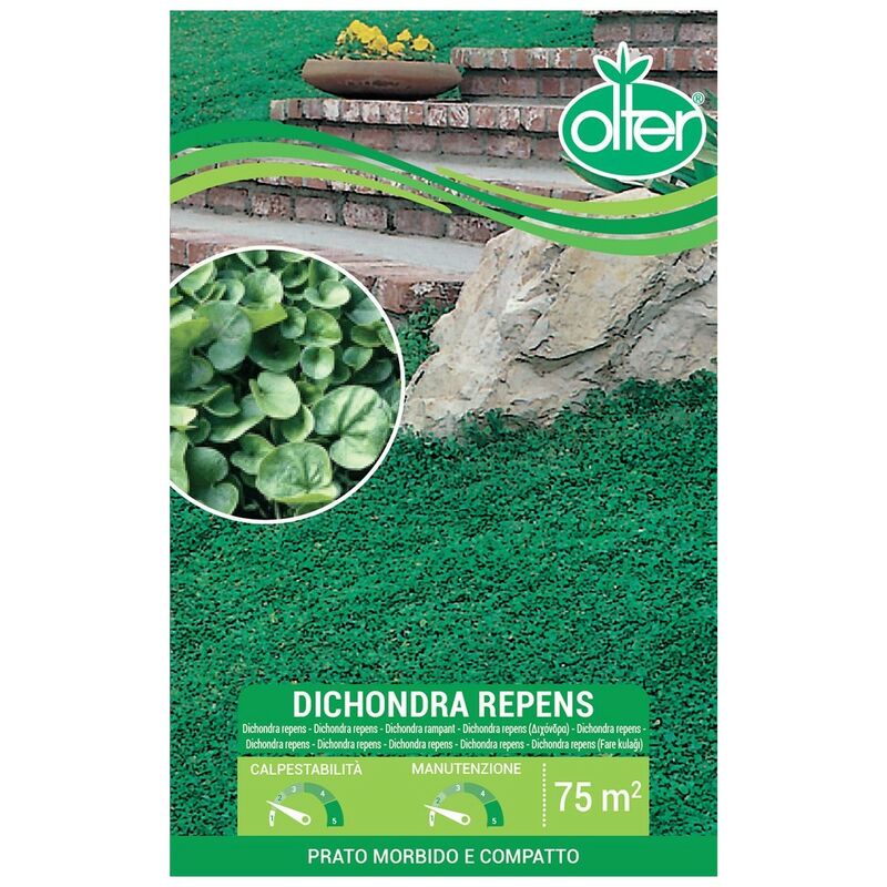 foto del prodotto dichondra repens olter disponibile nei formati da 100 200 gr size 500 gr