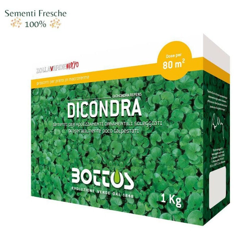 foto del prodotto dicondra 1 kg sementi per prato macroterme bottos