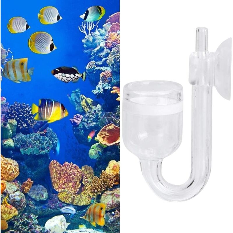 foto del prodotto diffusore atomizzatore co2, raffinatore per acquario realizzato professionalmente in vetro