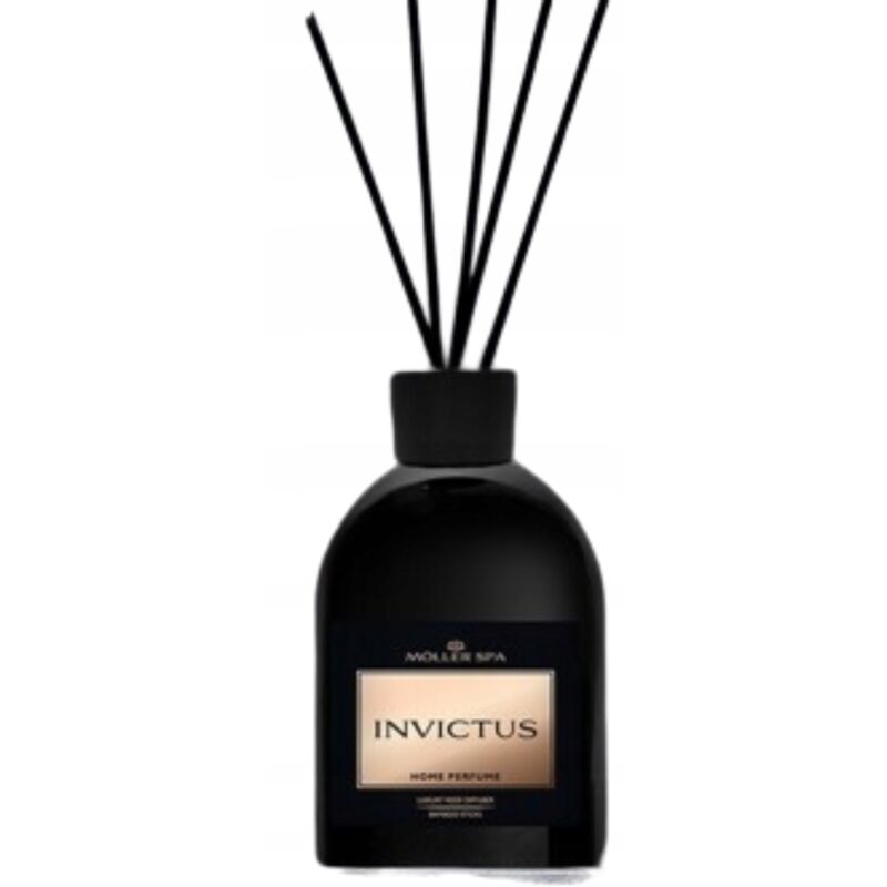 foto del prodotto diffusore di profumo per la casa invictus 90 giorni bastoncini profumati 250 ml