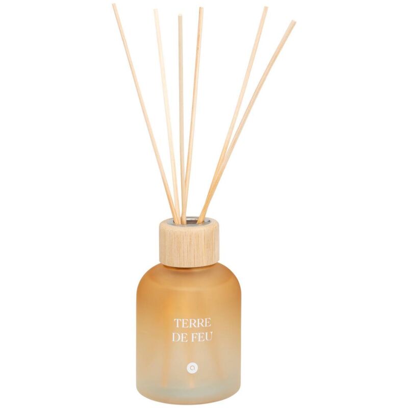 foto del prodotto diffusore di profumo terre de feu 150ml atmosphera cr ateur d int rieur
