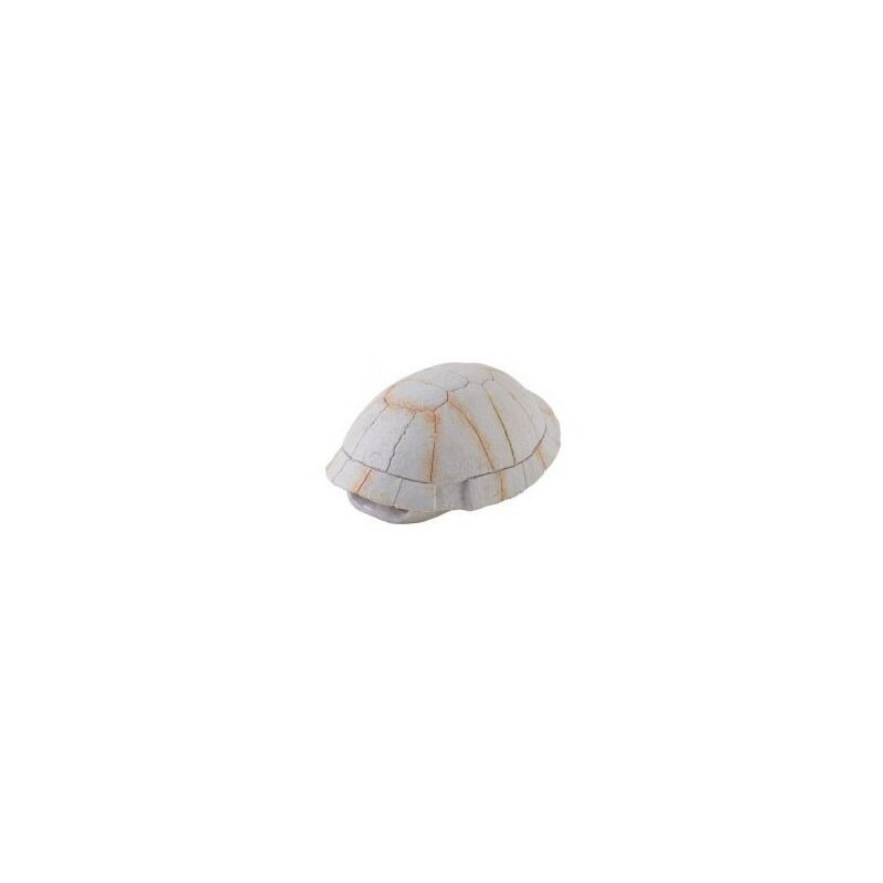 foto del prodotto dino turtle mini exo terra