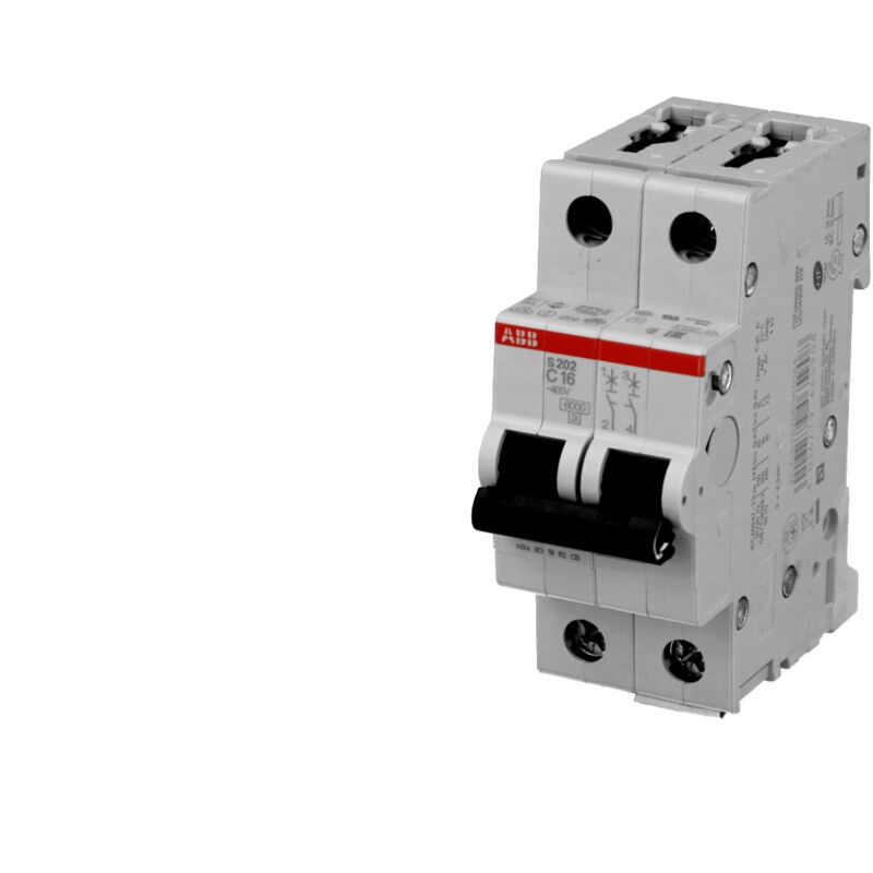 foto del prodotto disjoncteur modulaire abb 20a 2p s202 c20