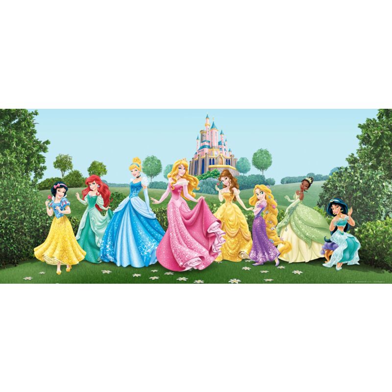 foto del prodotto disney ag design ftdh 0625 foto immagine wallpaper per parete murali fotomurali princess princess