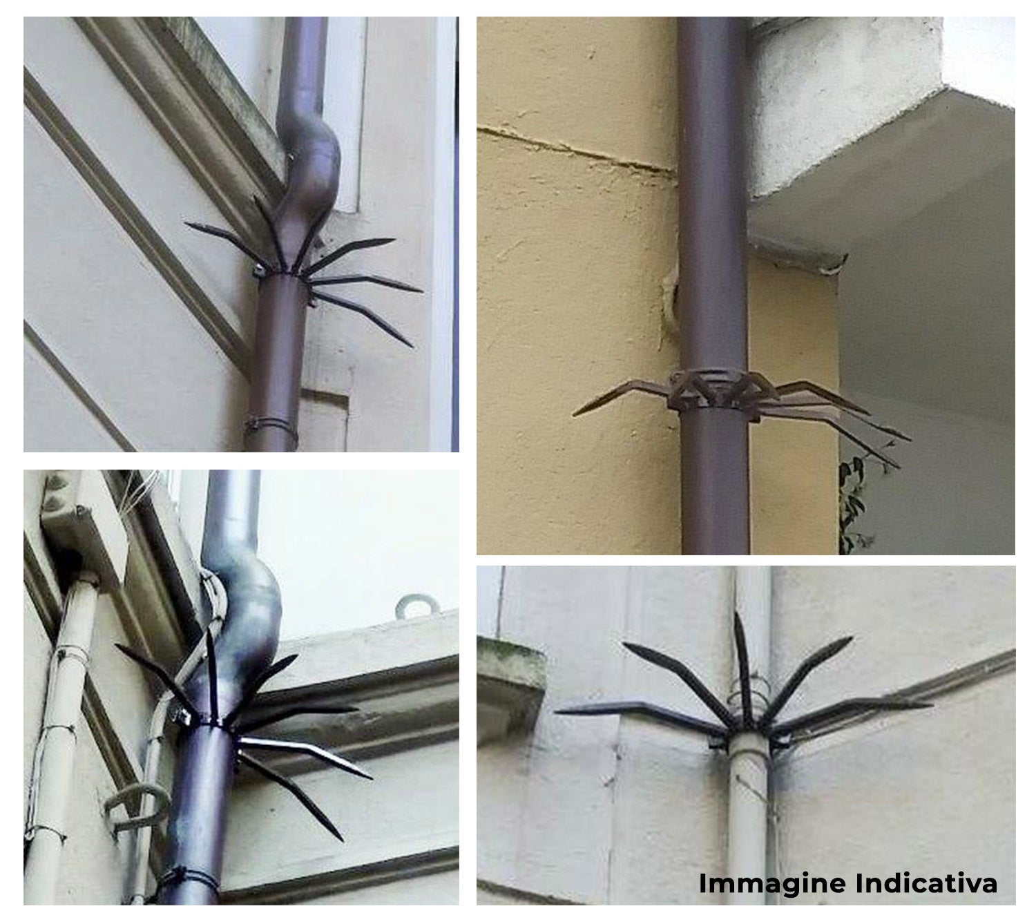 foto del prodotto dissuasore antifurto con punte in acciaio per pluviali tubi esterni 42-50 mm argento