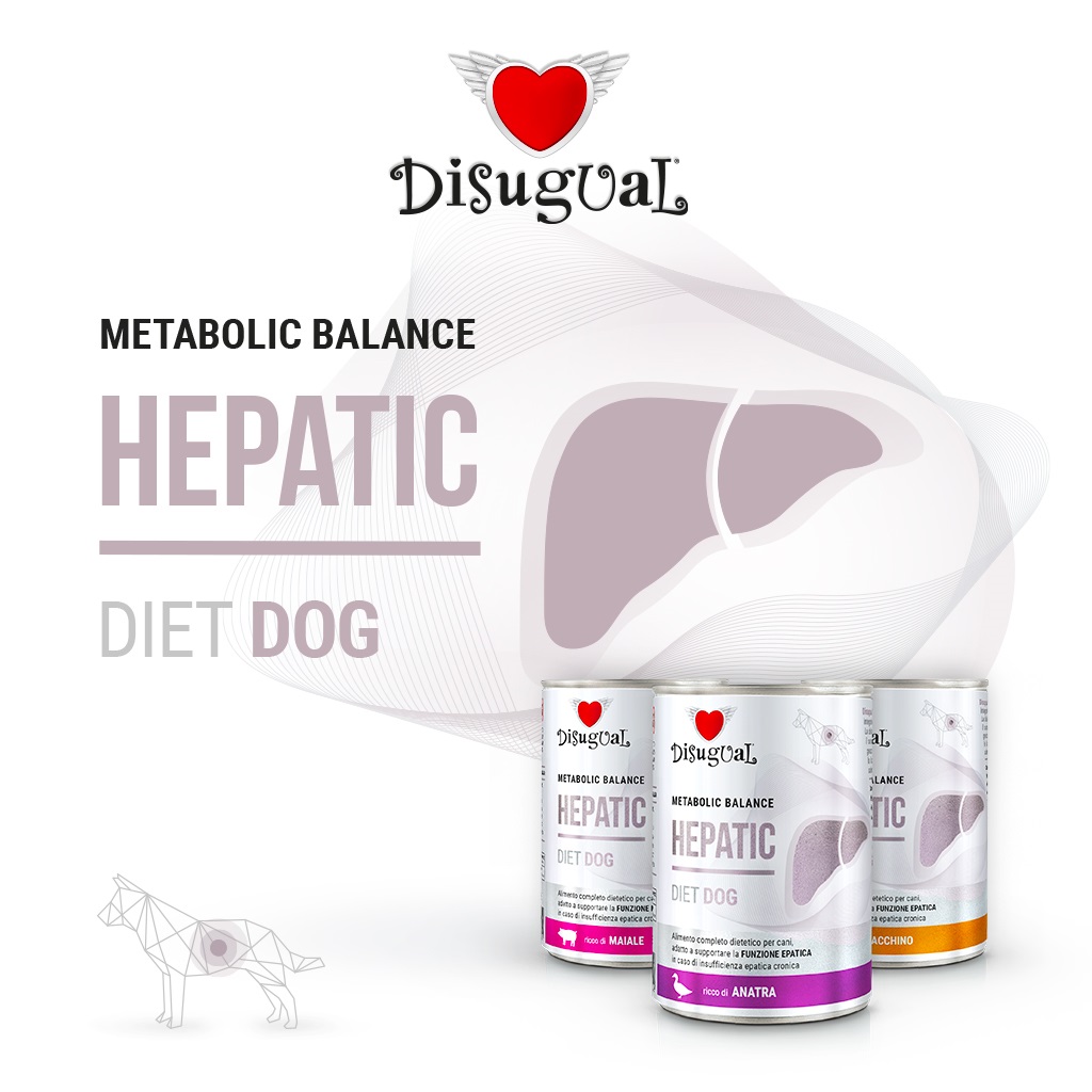 foto del prodotto disugual cane diet hepatic maiale 400 gr