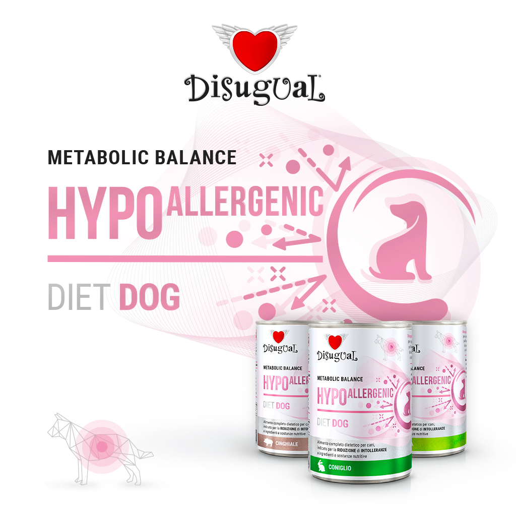 foto del prodotto disugual cane diet hypoallergenic coniglio 400 gr
