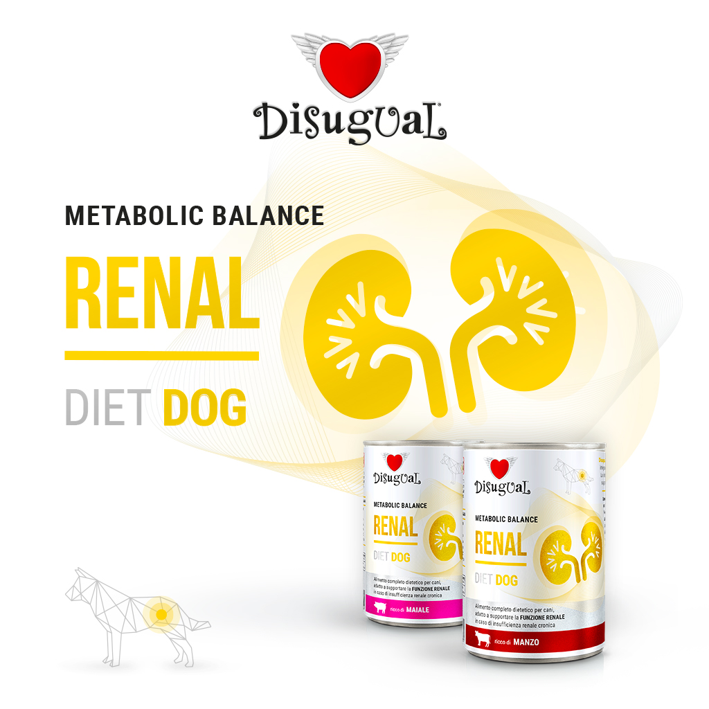 foto del prodotto disugual cane diet renal maiale 400 gr