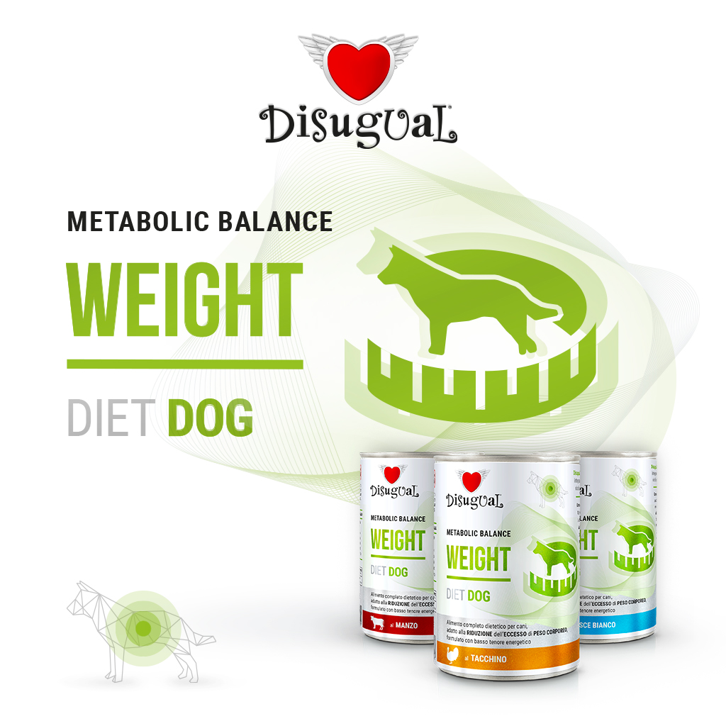 foto del prodotto disugual cane diet weight pesce bianco 400 gr