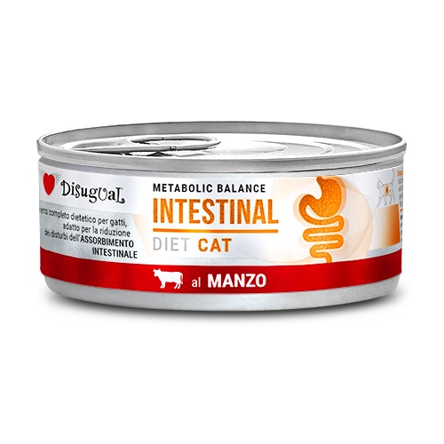 foto del prodotto disugual gatto diet intestinal manzo 85 gr