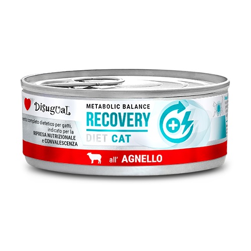 foto del prodotto disugual gatto diet recovery agnello 85 gr