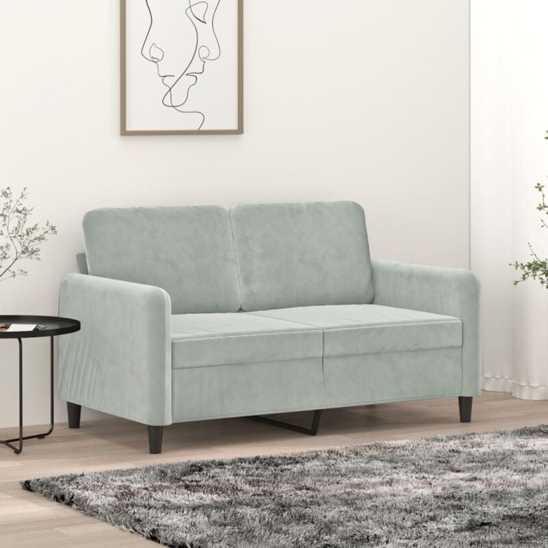 foto del prodotto divano a 2 posti grigio chiaro 120 cm in velluto vidaxl