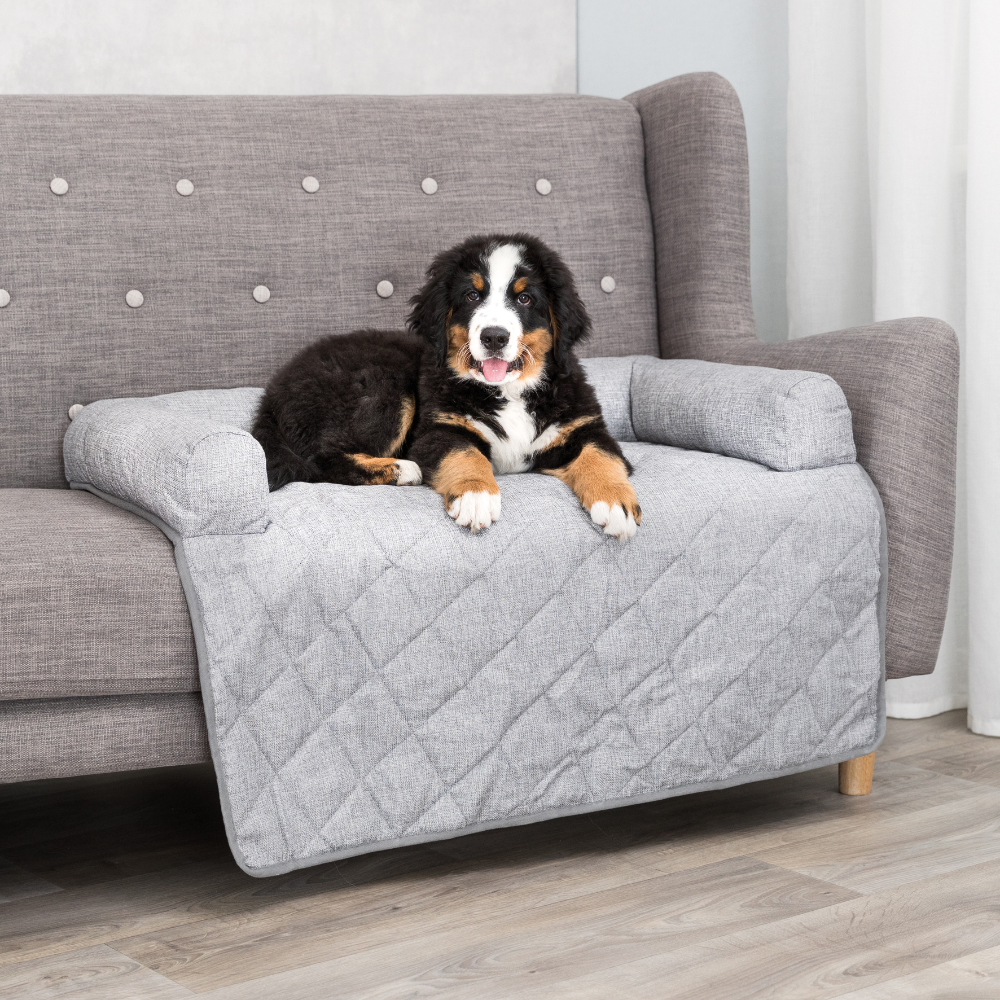 foto del prodotto divano con coperta trixie nero l 90 x p 70 x h 14 cm