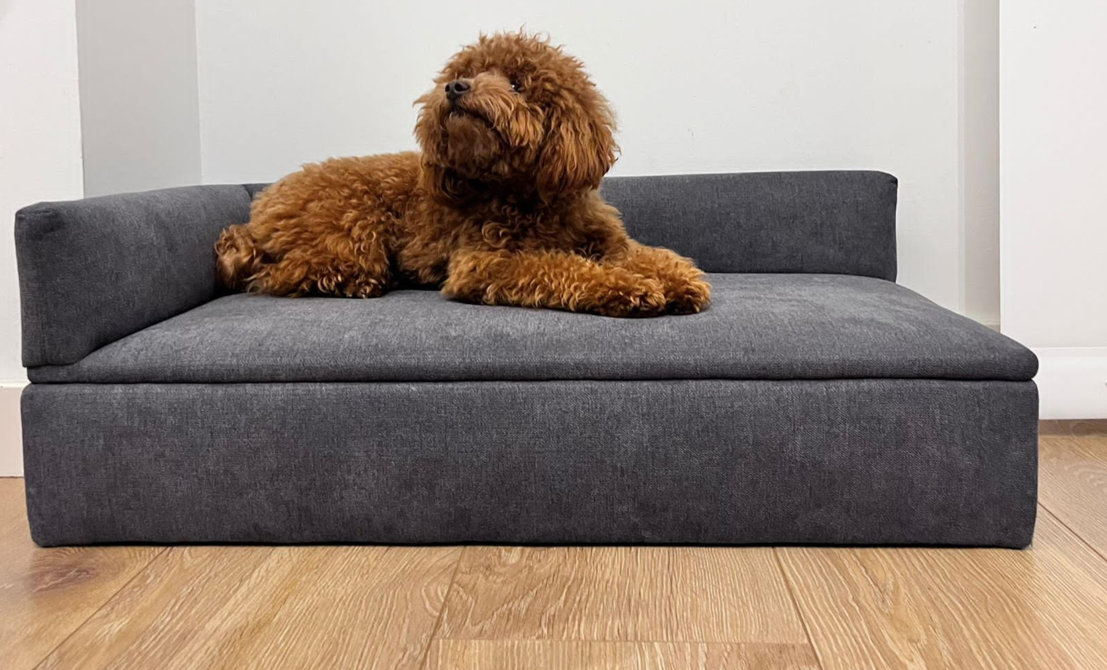 foto del prodotto divano letto per cani di piccola taglia 71x42x24cm in tessuto resistente e comodo schienale e base rf995