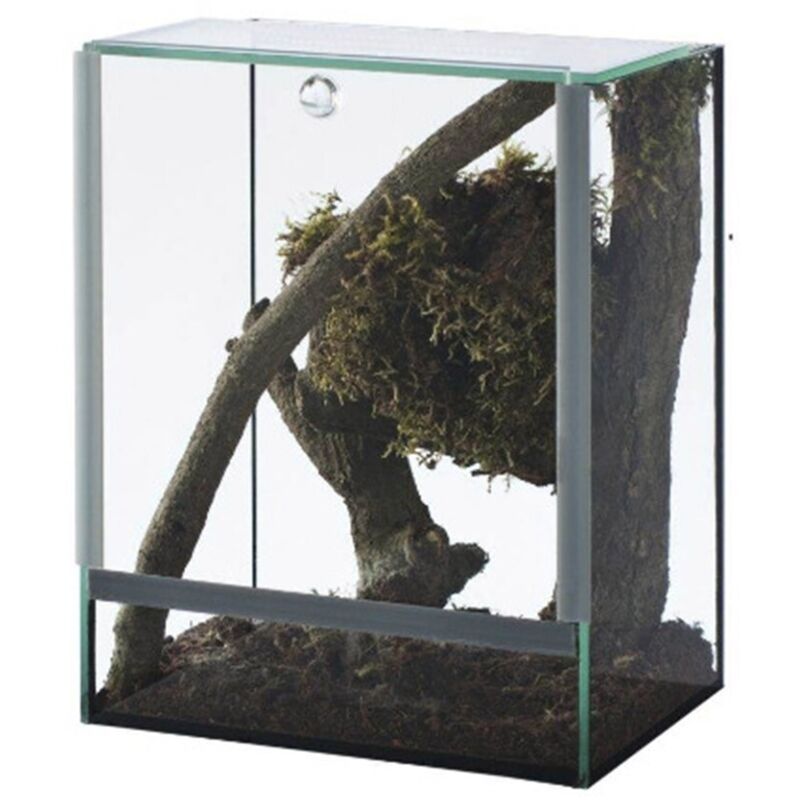 foto del prodotto diversa terrario in vetro con apertura scorrevole dimensioni cm20x20x30h nano 