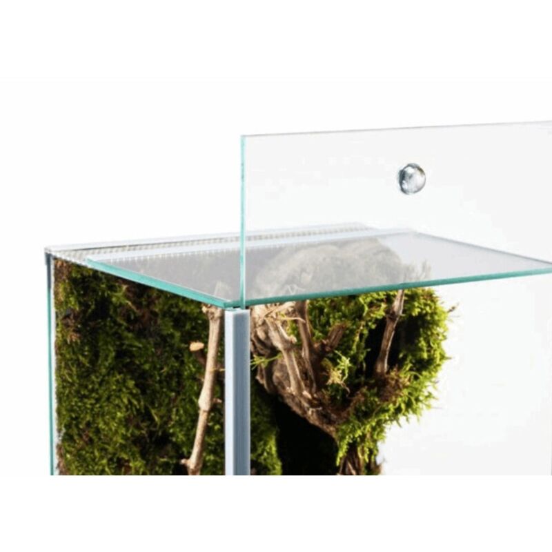 foto del prodotto diversa terrario in vetro con apertura scorrevole dimensioni cm25x30x30h nano 
