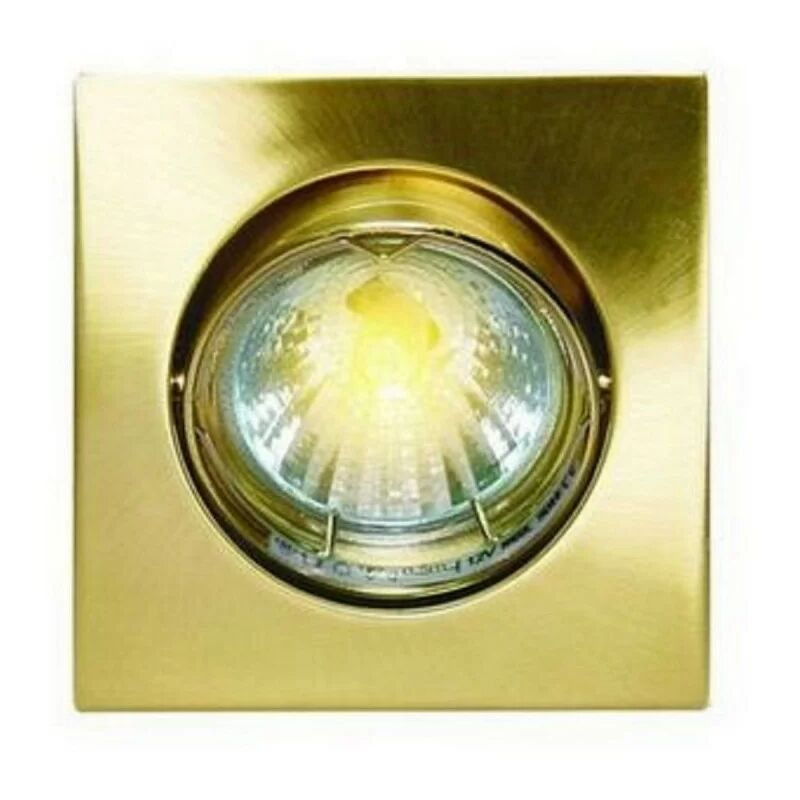 foto del prodotto dl96sb supporto per faretto da incasso, formato quadrato, orientabile, colore oro elro