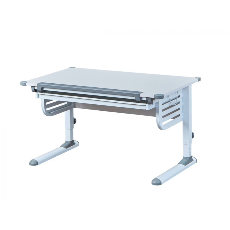 immagine 0 del prodotto dmora scrivania regolabile in altezza con ripiano inclinabile, in metallo bianco, cm 110x68x55 78, con imballo rinforzato