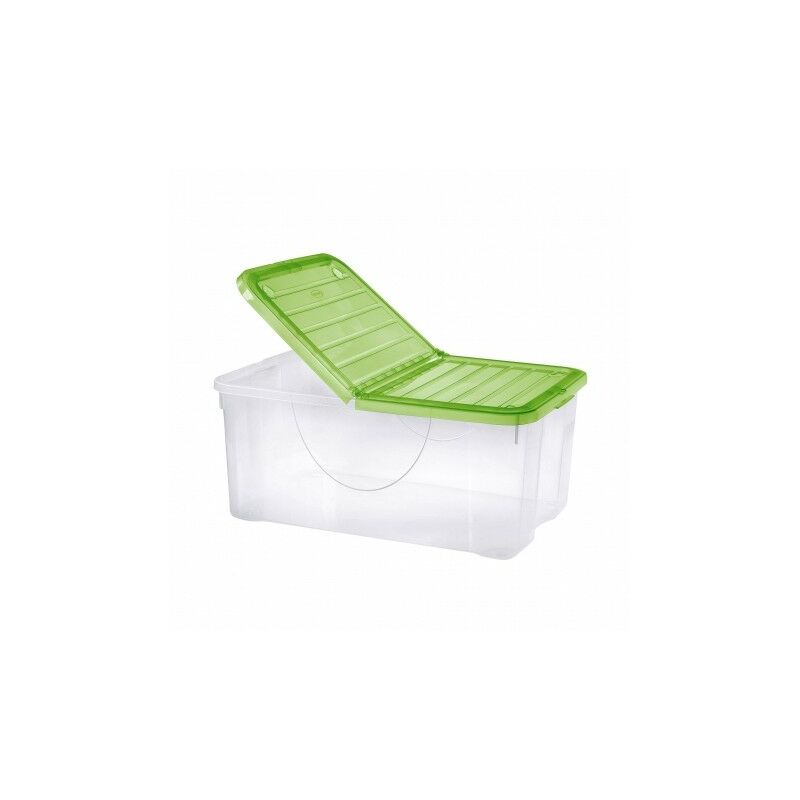 foto del prodotto dodo box 40l tontarelli