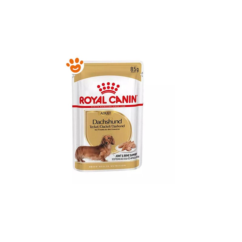 foto del prodotto dog adult dachshund bassotto dog adult dachshund bassotto bustina da 85 gr royal canin